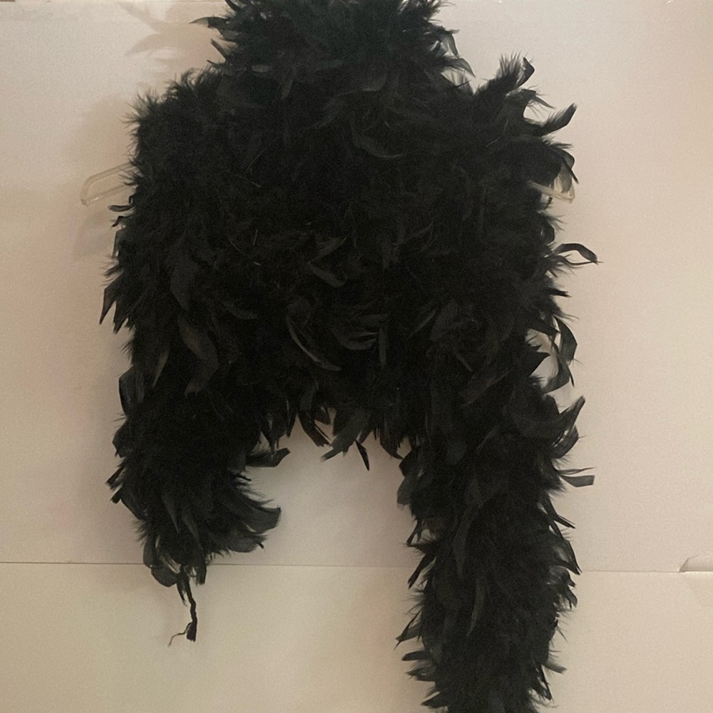 Black Real Lush Full Feather Boa